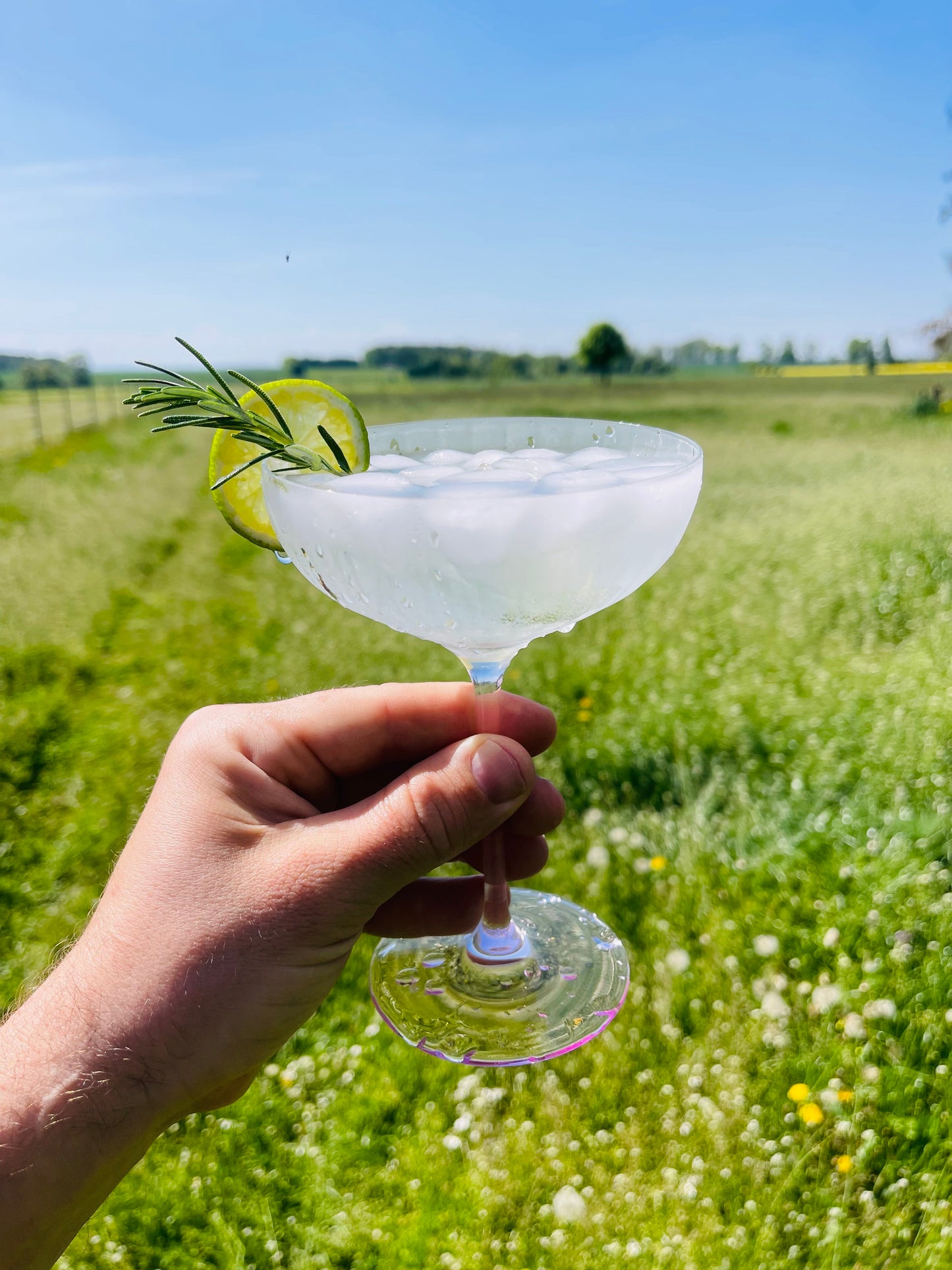 Summer Max Gin – Dein neuer Gin-Liebling mit 45 % Vol.